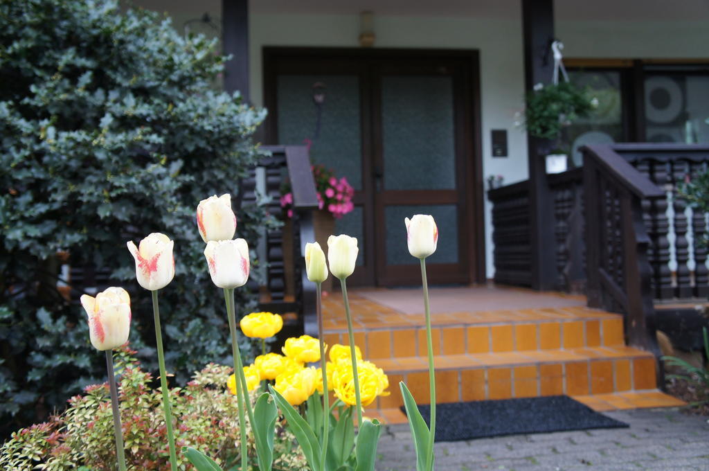 Haus Sonnenschein Lägenhet Mespelbrunn Exteriör bild