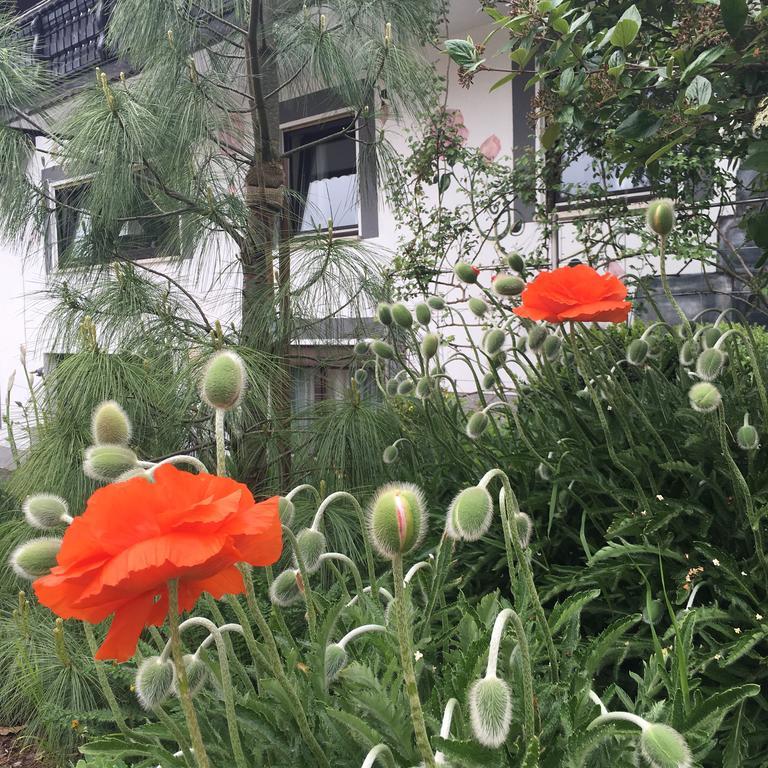 Haus Sonnenschein Lägenhet Mespelbrunn Exteriör bild